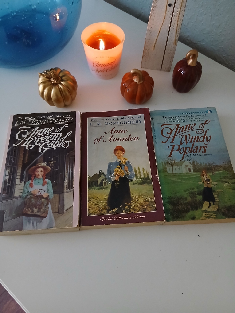 Anne of Green Gables Paperback Book Set
